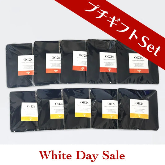 【バレンタイン】プチギフト10セット